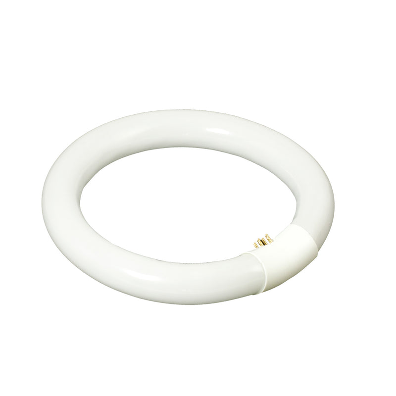 Świetlówka zamienna Lumeno T9 6122, świetlówka pierścieniowa 22 W do lamp z lupą